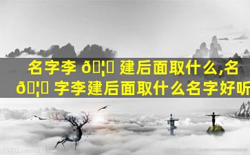 名字李 🦁 建后面取什么,名 🦟 字李建后面取什么名字好听